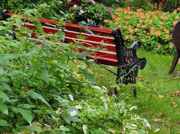 54 City Boulevard image 40 of 45