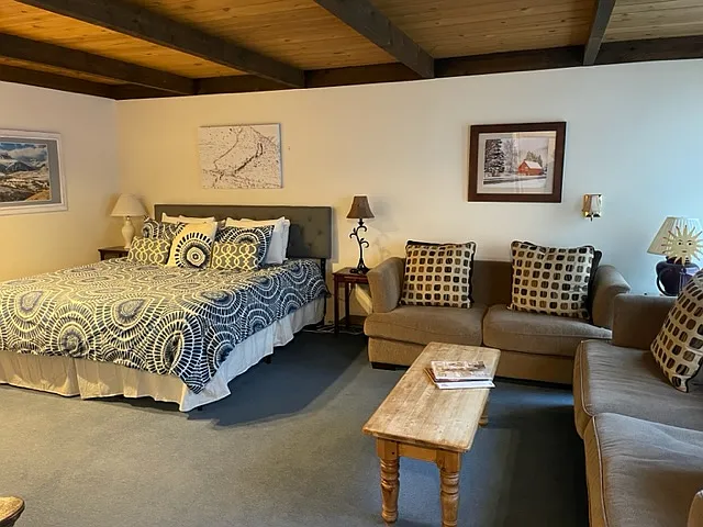 Studio, 451 sqft, $1,800 — Photo 2