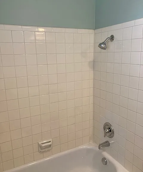 tub and shower