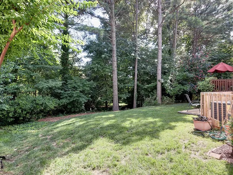 back yard