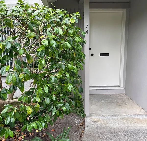 74 Miramonte Dr — Photo 1