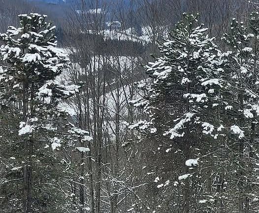 3rd image of 4671 Lynch Rd
