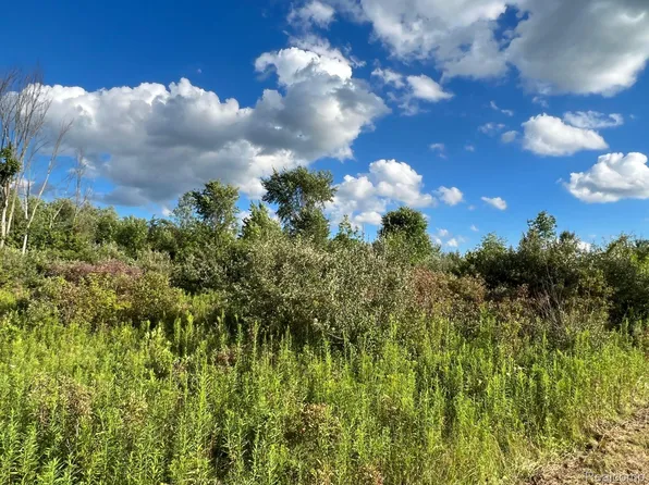 PARCEL 9 Great Barrington Dr, Holly, MI 48442