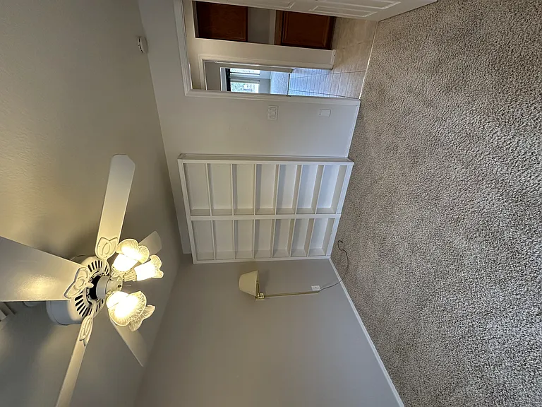 3032 Hidden Treasure Dr — Photo 73