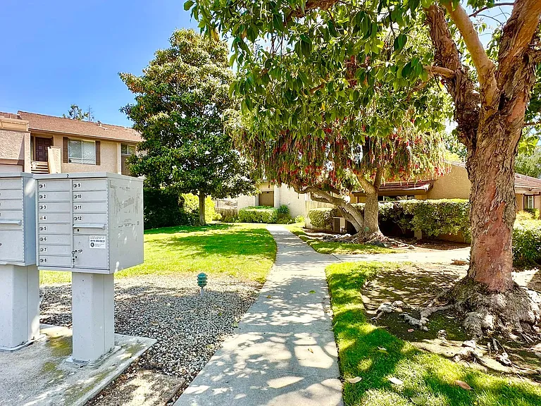 309 Ivy Ter — Photo 25