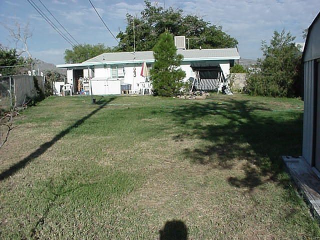 Back yard