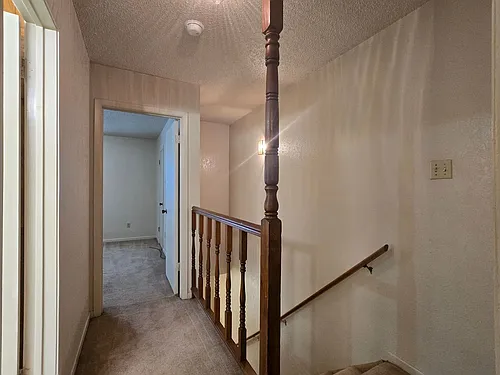 3702 Hereford Ln Photo 1