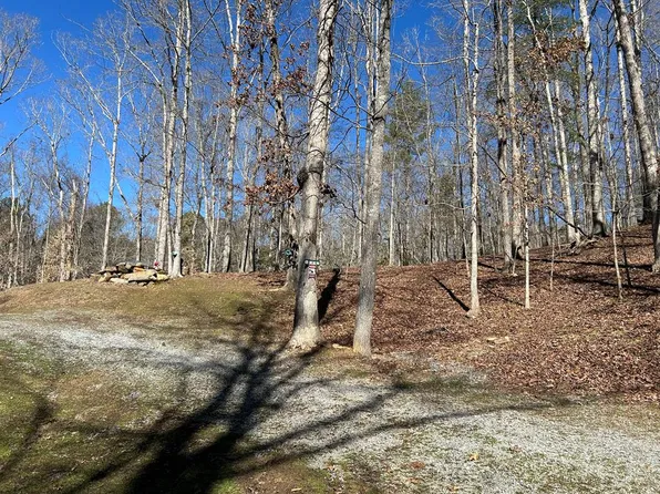 0 Ecole Ct, Ellijay, GA 30540