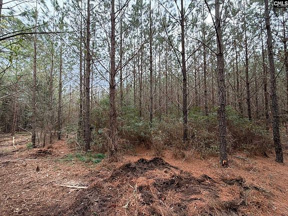 2nd image of Bff Ii 2 Jc Barefoot Rd