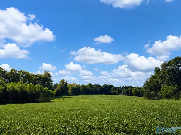 18.6 Acres Hwy #431, Boaz, AL 35956