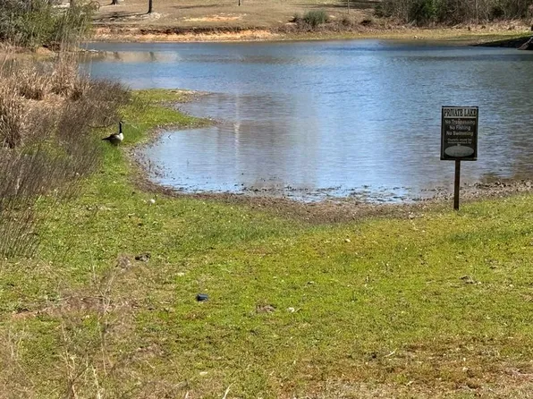 55 Bay Meadows Dr, Carriere, MS 39426