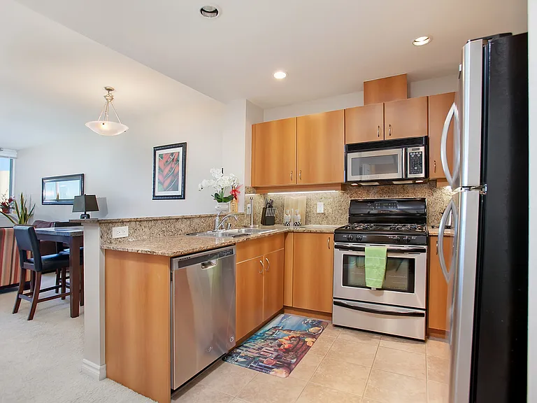 300 W Beech St #1807 — Photo 4
