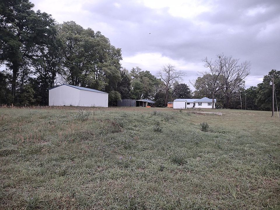 View from back fence