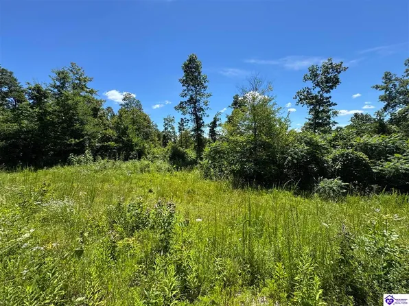 1500 Tickridge Rd, Falls Of Rough, KY 40119