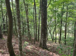 LT255 Tomahawk Trl, Cherry Log, GA 30522
