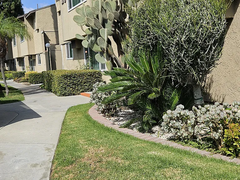 Cascade terrace — Photo 11