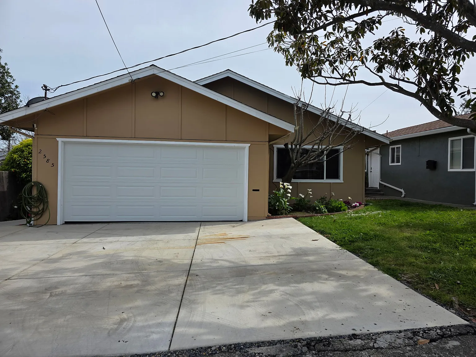 1 bed, 200 sqft, $1,000 — Photo 4