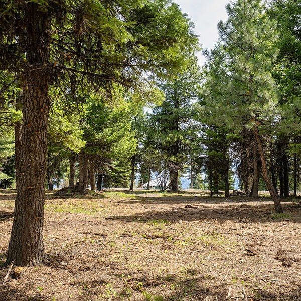 2nd image of 6 To Be Determined