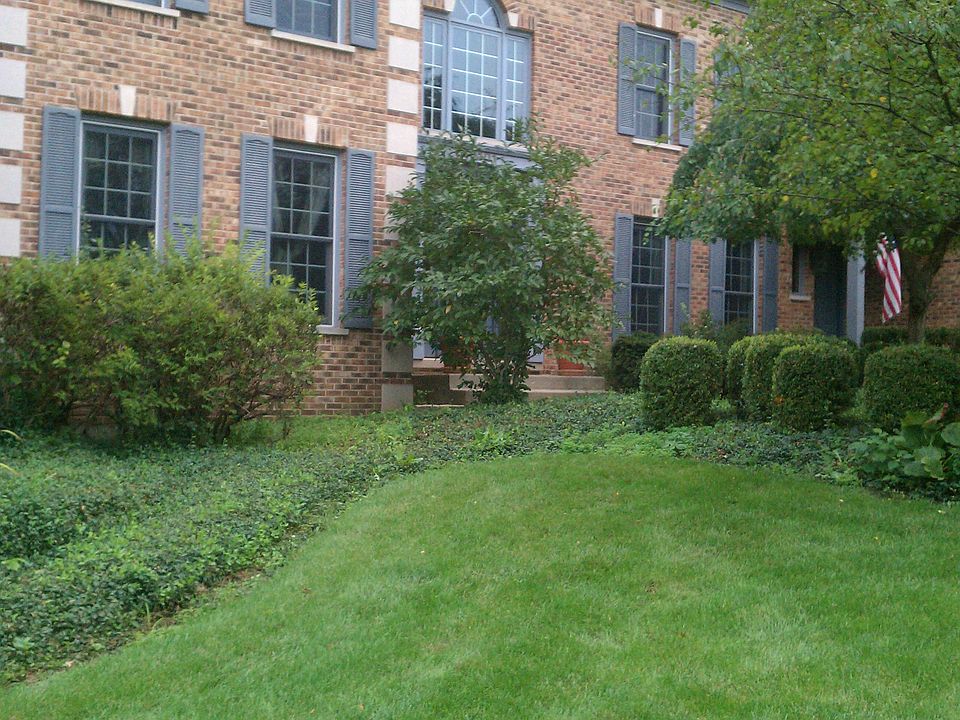 2nd image of 40101 Trillium Ct
