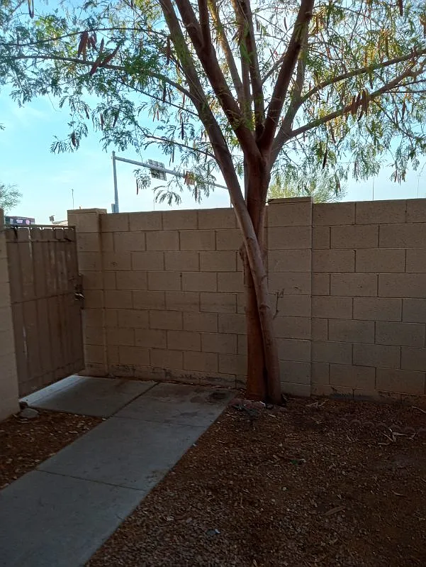3 bed, 1100 sqft, $1,695 — Photo 4