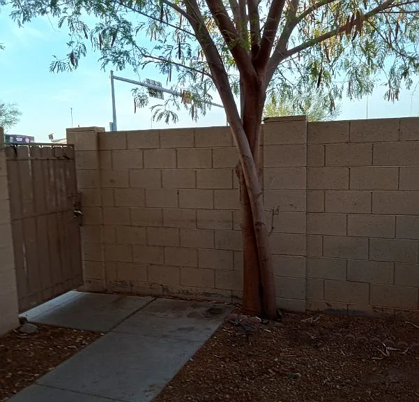 4709 E Jones Ave — Photo 4