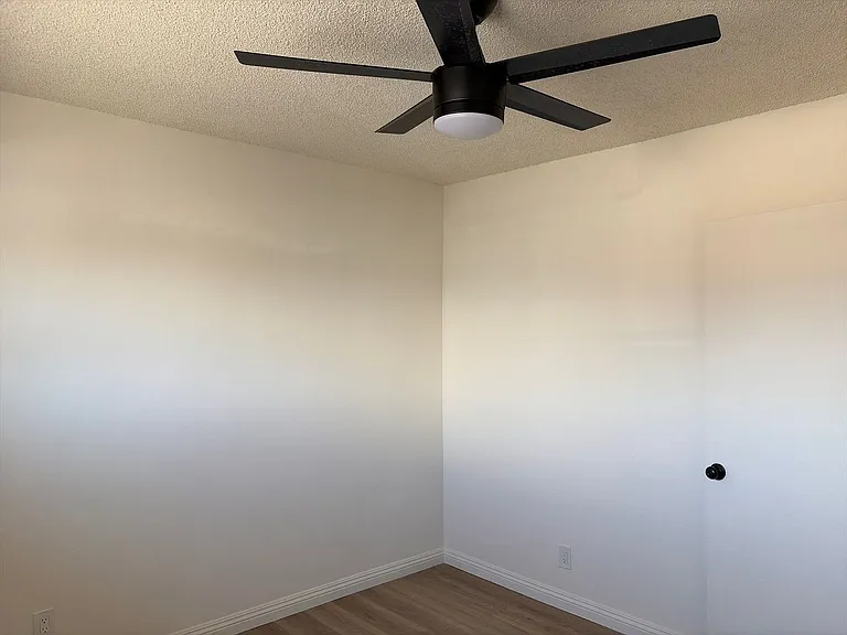 8130 Constance St — Photo 4