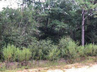 11 E Michaelangelo Rd, Defuniak Springs, FL 32433