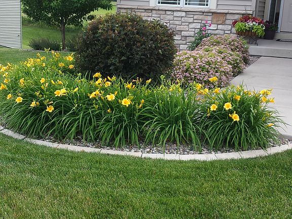 Lansdscaped Front Entry