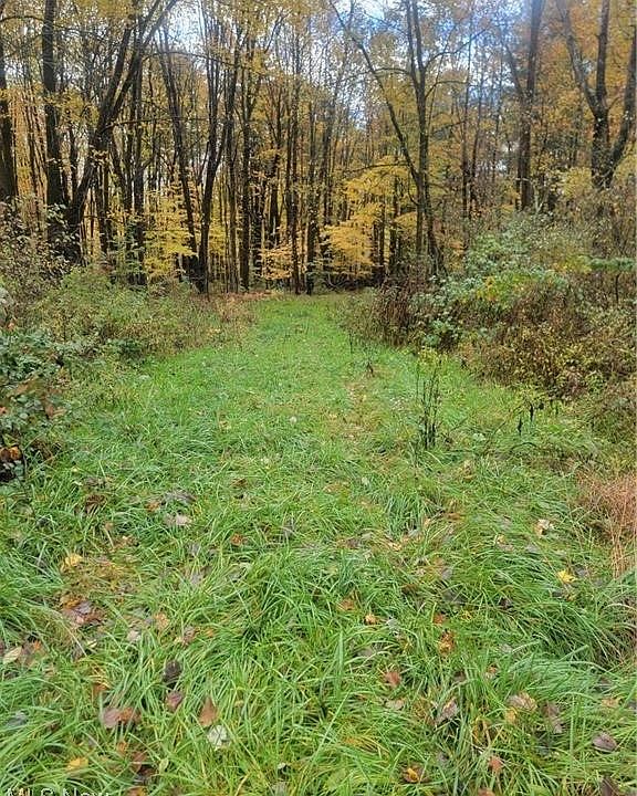 1st image of Schaen Dr