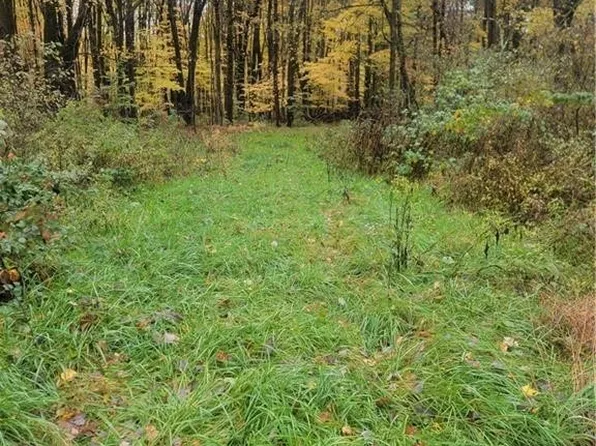 Schaen Dr, Andover, OH 44003