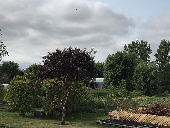 Back Yard View