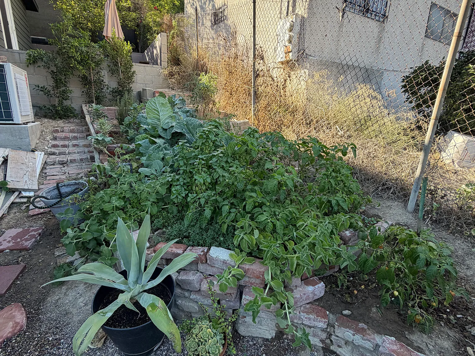 1 bed, 450 sqft, $1,825 — Photo 3