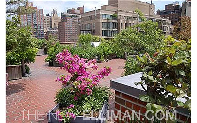 Sold by Douglas Elliman | media 11