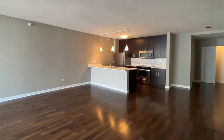 739 N Wabash Ave #700 — Photo 1