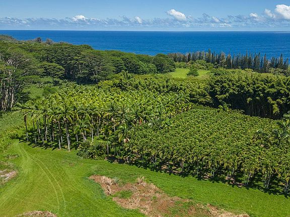 3rd image of 28-1829 Old Mamalahoa Hwy
