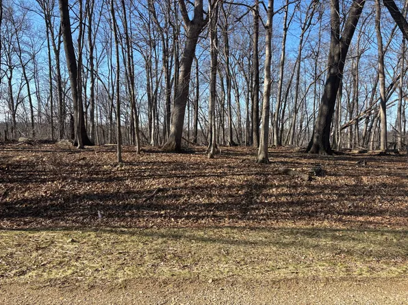 1783 Blueberry Dr, Varna, IL 61375