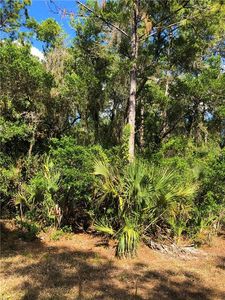 106 Heather St, Port Charlotte, FL, 33953