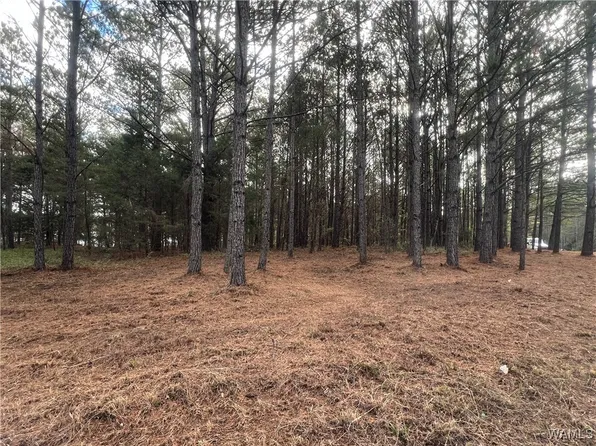 44 Crimson Ridge Cir, Brookwood, AL 35444