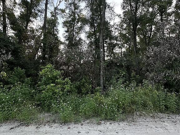 2nd image of 0 SW 81st Ter
