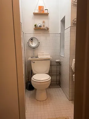 Rented by Brown Harris Stevens | media 7