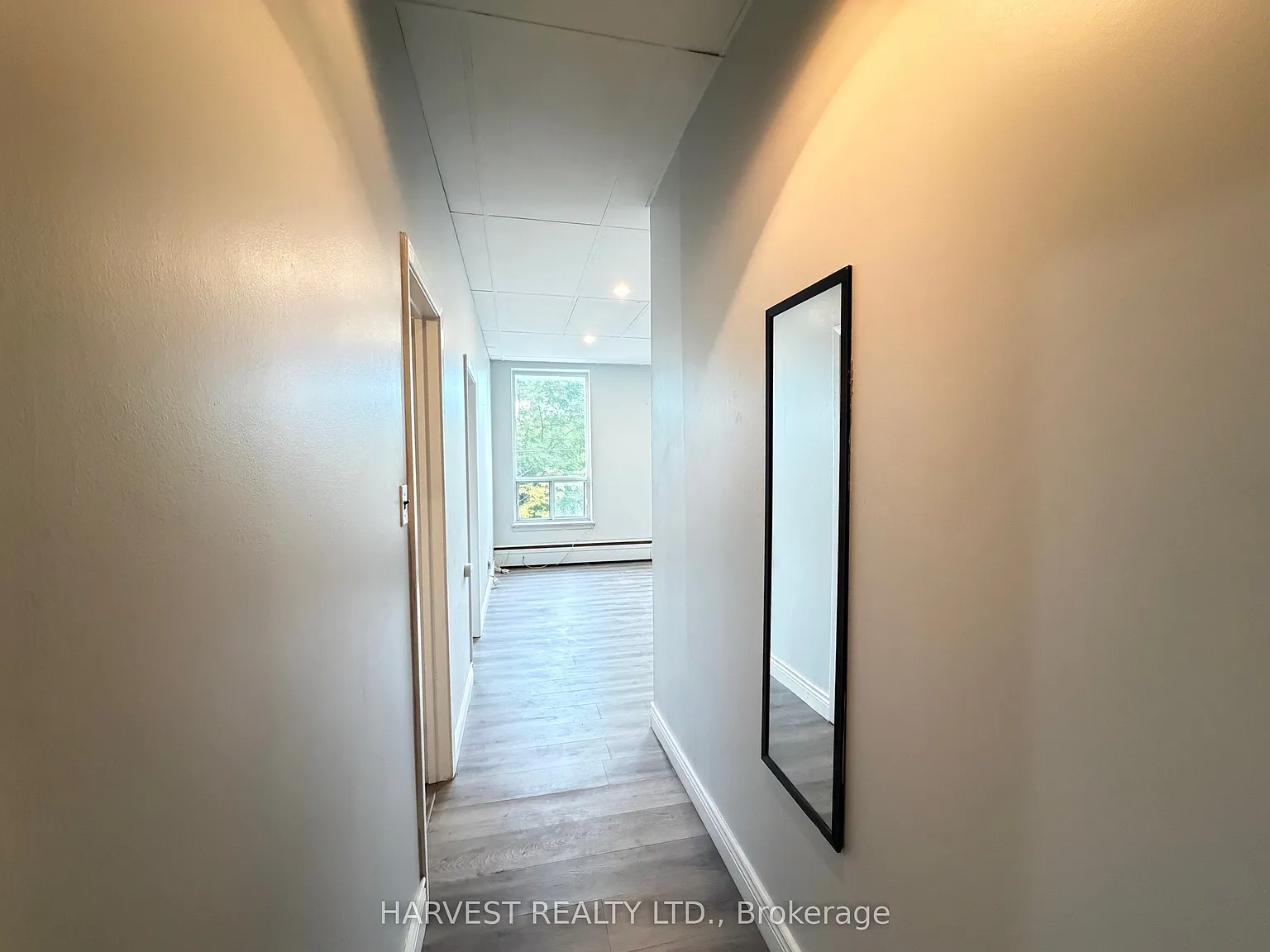 1 bed, $1,550 — Photo 2