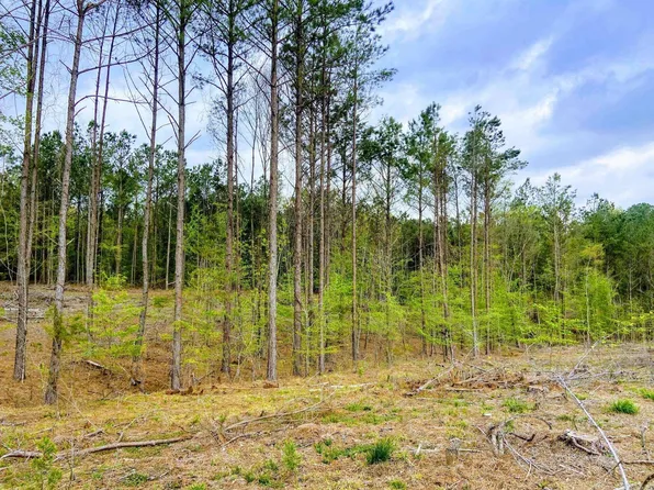 (undisclosed Address), Washington, AR 71862