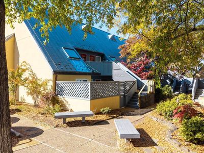 301 2nd St NW APT C, Charlottesville, VA, 22902