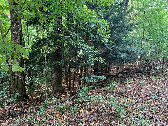 5th image of 0 Woodland Dr