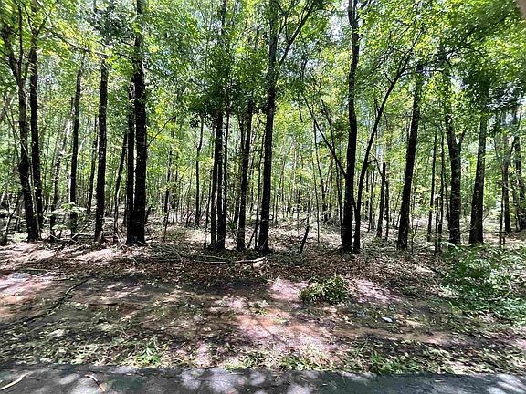 3rd image of County Road 110