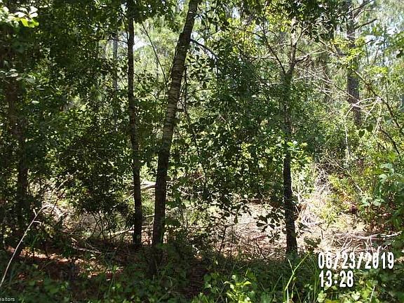 2nd image of 989 W Venetian Dr