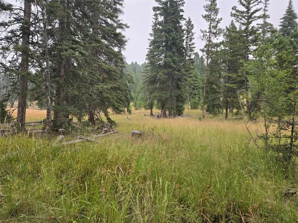 LOT 86 Maple Leaf Rd, Gold Creek, MT 59733