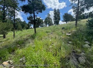 106 Holly Dr, Alto, NM 88312