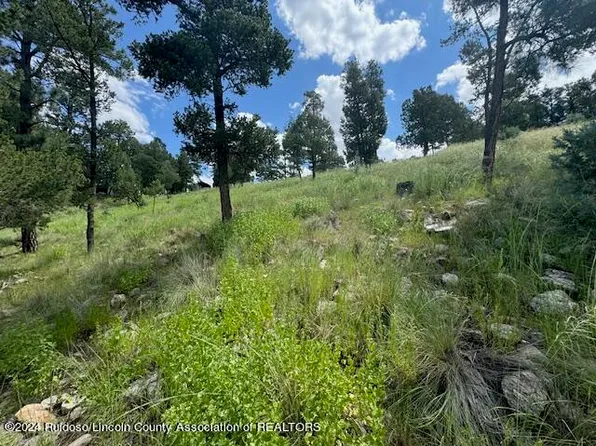 106 Holly Dr, Alto, NM 88312