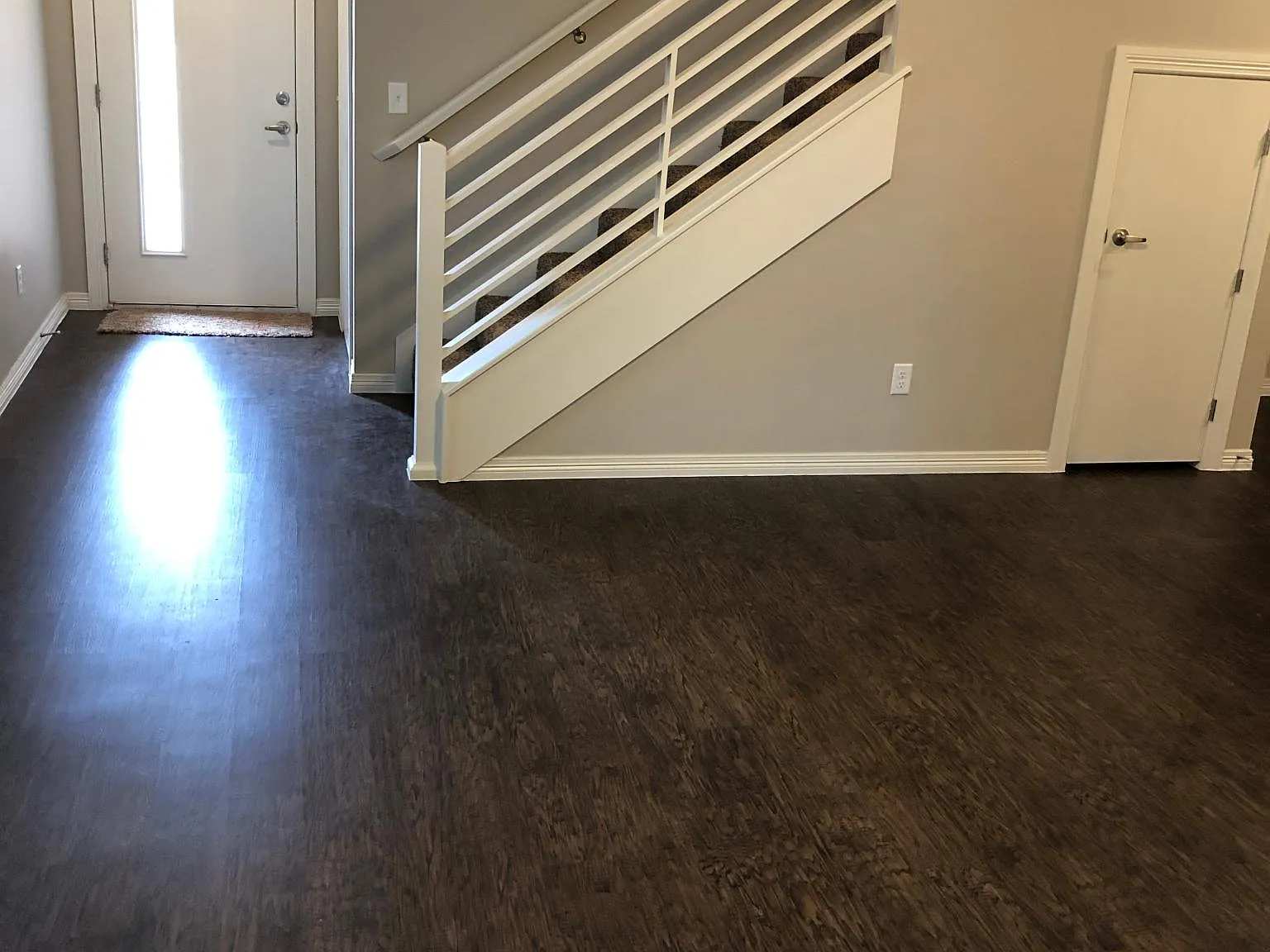 2117 Camino Del Plaza Ln — Photo 3
